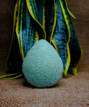 Load image into Gallery viewer, Green Tea - Ayïko LLC