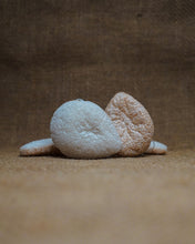 Load image into Gallery viewer, Walnut Konjac Sponge - Ayïko LLC